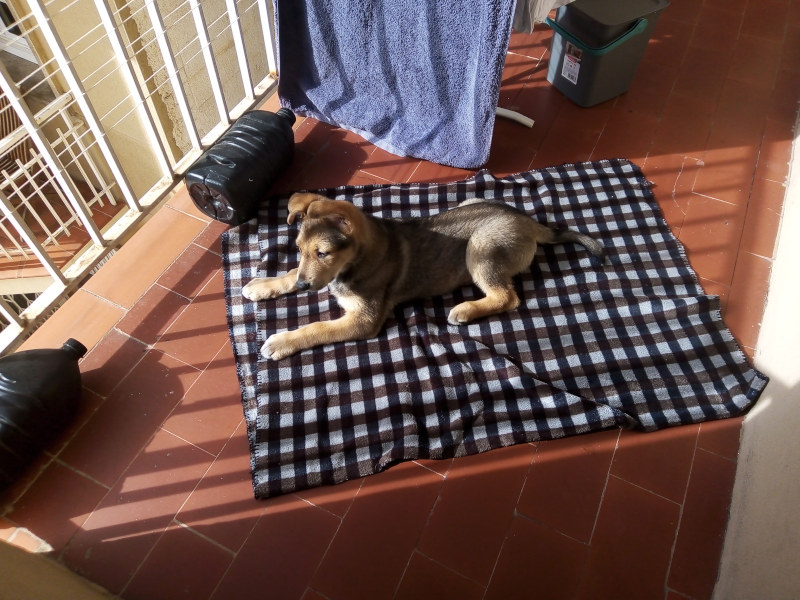 Tomando el sol