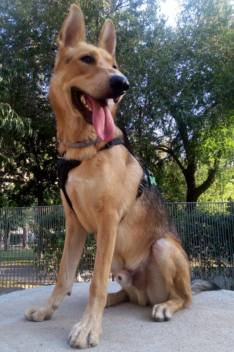 ¿Una foto?