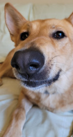 Cooper 