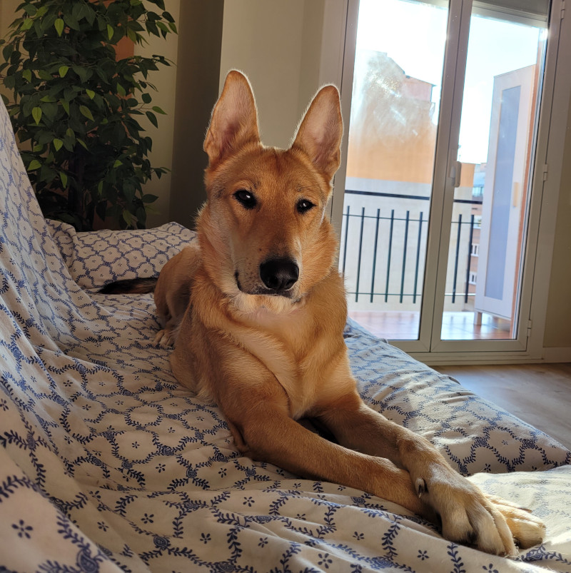 Hola ¿quieres jugar?