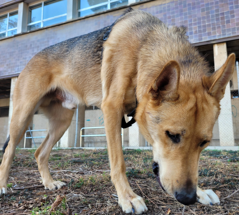 Hay algo en el suelo...