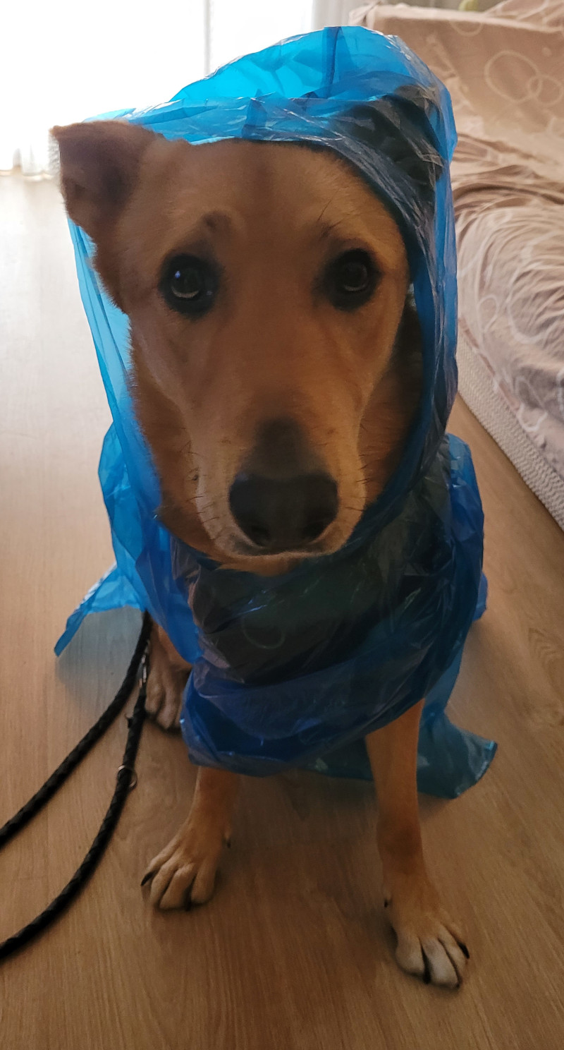 No me gusta la lluvia